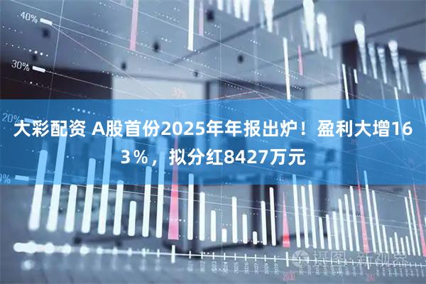 大彩配资 A股首份2025年年报出炉！盈利大增163％，拟分红8427万元